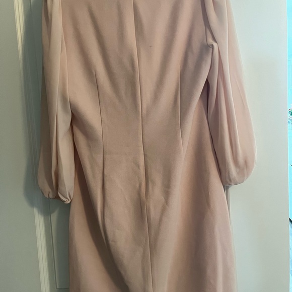 Blush Dress - Picture 6 of 7